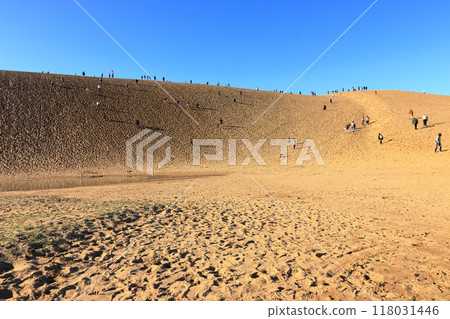 Tottori Sand Dunes: Beautiful sandy scenery (Tottori) Tottori Sand Dunes: Beautiful sandy scenery (Tottori) 118031446