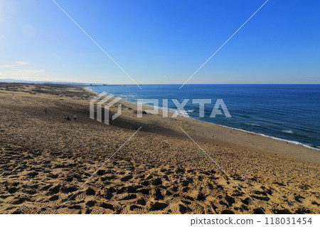 Tottori Sand Dunes: Beautiful sandy scenery (Tottori) 118031454