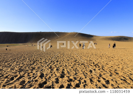 Tottori Sand Dunes: Beautiful sandy scenery (Tottori) 118031459