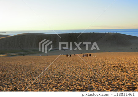 Tottori Sand Dunes: Beautiful sandy scenery (Tottori) 118031461