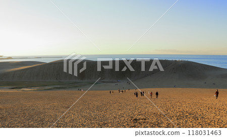 Tottori Sand Dunes: Beautiful sandy scenery (Tottori) 118031463