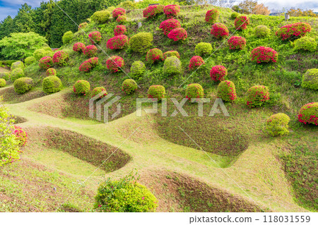 [Shizuoka Prefecture] Azaleas in bloom at the Shoji Moat of Yamanaka Castle Park 118031559
