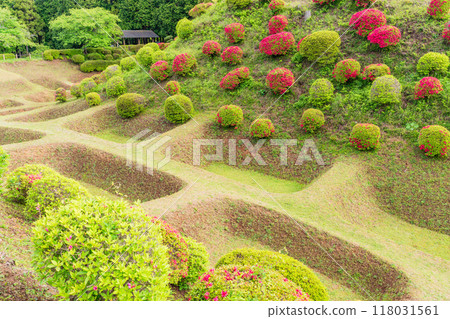[Shizuoka Prefecture] Azaleas in bloom at the Shoji Moat of Yamanaka Castle Park 118031561