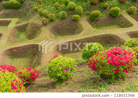 [靜岡縣]杜鵑花盛開的山中城跡公園的精進護城河 118031566