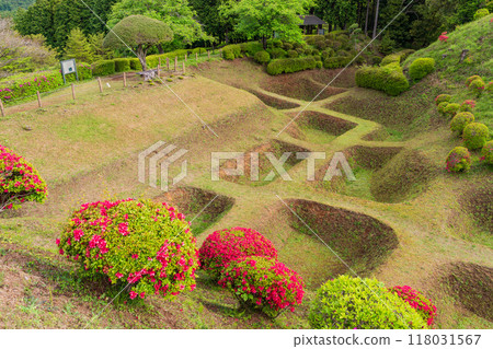 [Shizuoka Prefecture] Azaleas in bloom at the Shoji Moat of Yamanaka Castle Park 118031567