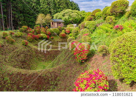 [Shizuoka Prefecture] Azaleas blooming in the moats of Yamanaka Castle Park 118031621
