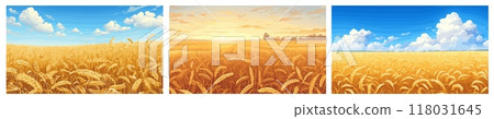 wheat fields background. rural summer landscape, agriculture blue sky ears cereals harvest horizon golden vector illustration wheat fields background. rural summer landscape, agriculture blue sky ears cereals harvest horizon golden vector illustration 118031645