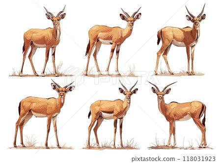antelope. gazelle, africa animals, savannah mammal horns hooves wildlife safari fauna vector illustration set 118031923