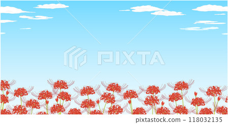 Background of red spider lilies③ 118032135