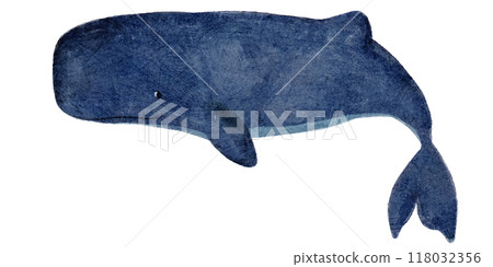 繪本風格的抹香鯨手繪插圖 118032356