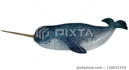 Hand-drawn illustration of a narwhal in a picture book style Hand-drawn illustration of a narwhal in a picture book style 118032359