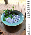 Water flower on the table: Periwinkle Water flower on the table: Periwinkle 118032683