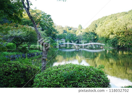 Park landscape Park landscape 118032702