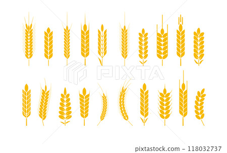 Wheat and rye logo ears. Barley rice grains and elements for beer or organic agricultural food. Vector Wheat and rye logo ears. Barley rice grains and elements for beer or organic agricultural food. Vector 118032737