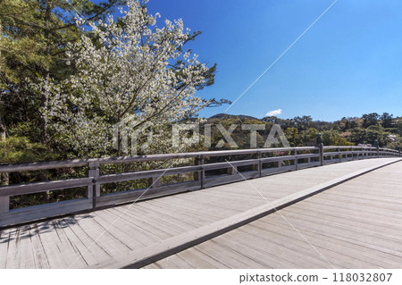 伊勢神宮的春天風景、櫻花和宇治橋風景、伊勢志摩觀光景點 118032807