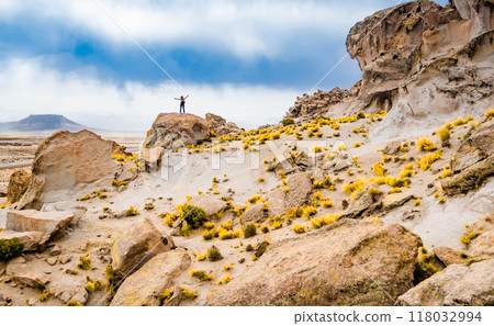 Bolivian mountains landscape 118032994