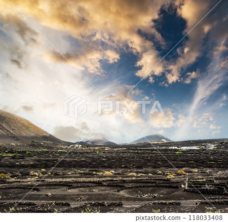 large vineyards near volcanic mountains large vineyards near volcanic mountains 118033408