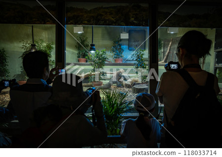 Higashiyama Zoo and Botanical Gardens, Komodo dragon Taro (Nagoya, Aichi Prefecture) 118033714