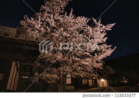 2023年櫻花季清水寺夜間特別參觀 2023年櫻花季清水寺夜間特別參觀 118033877