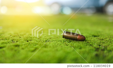 Spent bullet casing lying on the green ground with blur background. Concepts of criminal investigation and shooting sports Spent bullet casing lying on the green ground with blur background. Concepts of criminal investigation and shooting sports 118034019