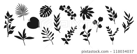 Collection of plant silhouettes. Branches, leaves and botanical elements isolated on white background. Vector illustration 118034037