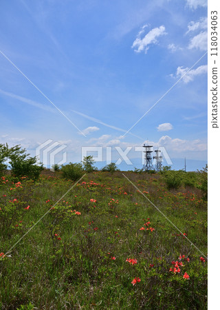 Scenery of Takabocchi Plateau in early summer 118034063