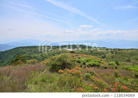 初夏塔卡博基高原風景 初夏塔卡博基高原風景 118034069