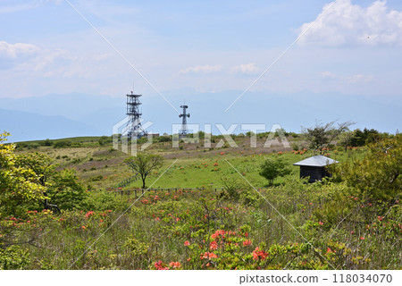 Scenery of Takabocchi Plateau in early summer 118034070