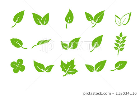 Green leaf icons set. Elements design for natural, eco, vegan. Leaves icon on isolated background. Collection green leaf. Vector Green leaf icons set. Elements design for natural, eco, vegan. Leaves icon on isolated background. Collection green leaf. Vector 118034116