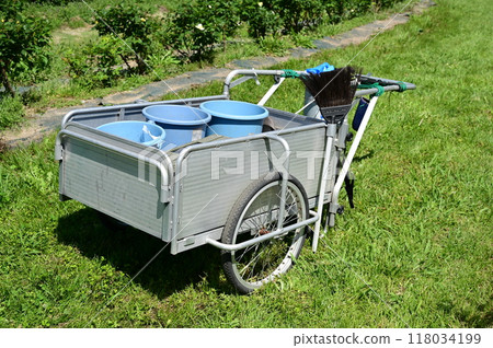 Cart and park maintenance tools 118034199