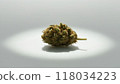 Cannabis Seed Extract 118034223