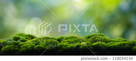 Moss background, green moss on wooden background blur nature 118034230