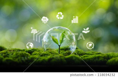 Environmental protection concept, bubble protects young trees and their growth Environmental protection concept, bubble protects young trees and their growth 118034232