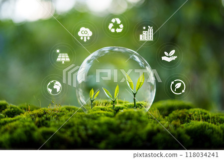 Environmental protection concept, bubble protects young trees and their growth Environmental protection concept, bubble protects young trees and their growth 118034241