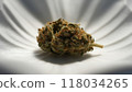 Cannabis Seed Extract 118034265