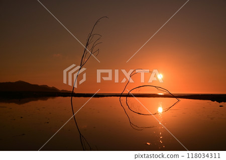 Sunset and tree reflection 118034311