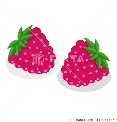 3D Isometric Flat  Set of Medical Herbs And Berries. Item 5 118035177