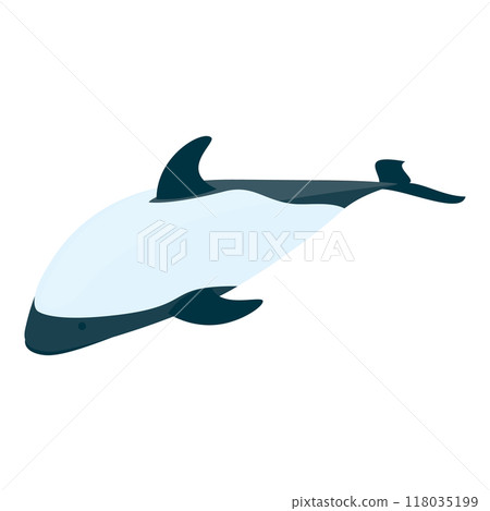 3D Isometric Flat Set of Types Of Dolphins. Item 4 3D Isometric Flat Set of Types Of Dolphins. Item 4 118035199