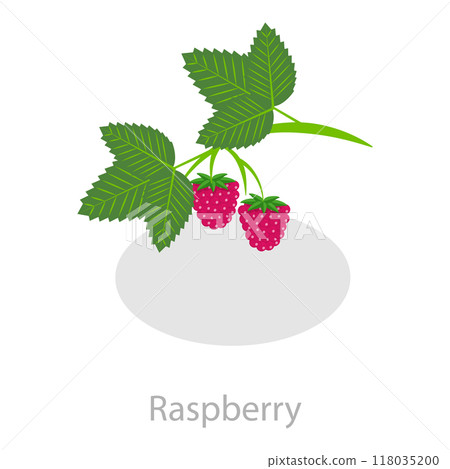 3D Isometric Flat  Set of Astringent Herbs. Item 1 118035200