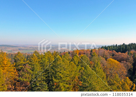 Aerial View of Vibrant Autumn Forest Landscape and Horizon in the Distance 118035314