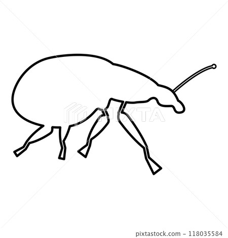 Weevil insect pest contour outline line icon black color vector illustration image thin flat style Weevil insect pest contour outline line icon black color vector illustration image thin flat style 118035584