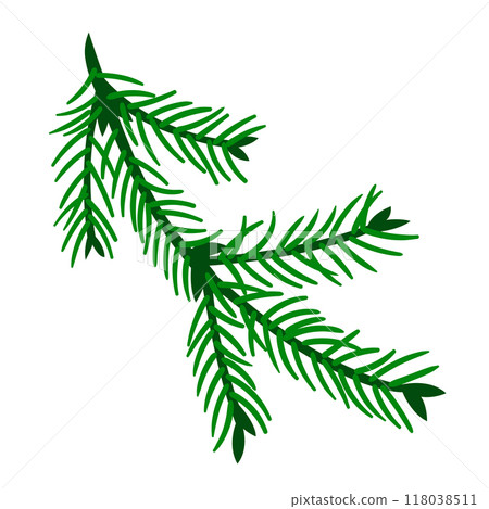 Illustration of spruce branch. Merry Christmas and Happy New Year plant. Illustration of spruce branch. Merry Christmas and Happy New Year plant. 118038511