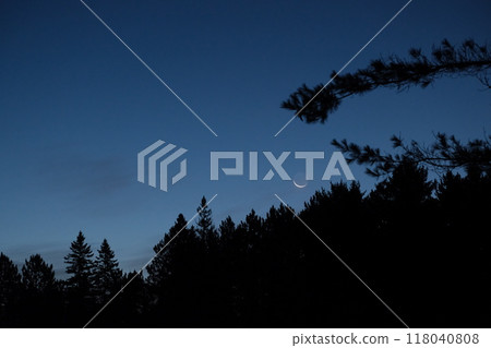 The moon before sunrise setting behind the forest 118040808