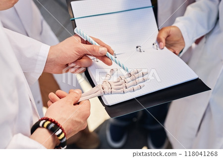 Close up on hands of med student examining anatomical model of human hand skeleton pointing with pen on bones of phalanges while standing in circle with classmates outdoors, copy space Close up on hands of med student examining anatomical model of human hand skeleton pointing with pen on bones of phalanges while standing in circle with classmates outdoors, copy space 118041268
