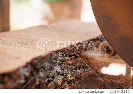 Close-up of sawing logs with a band saw at a sawmill 118042113