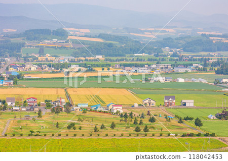 Summer in Hokkaido, Kamifurano Town, view from Hinode Park 118042453