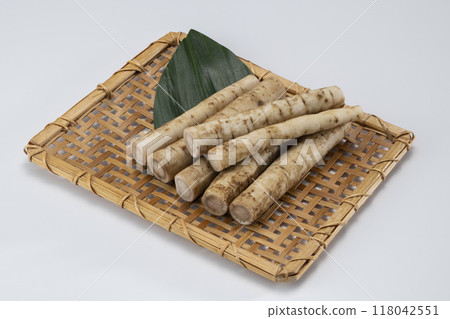 Freshly cut and delicious burdock Freshly cut and delicious burdock 118042551