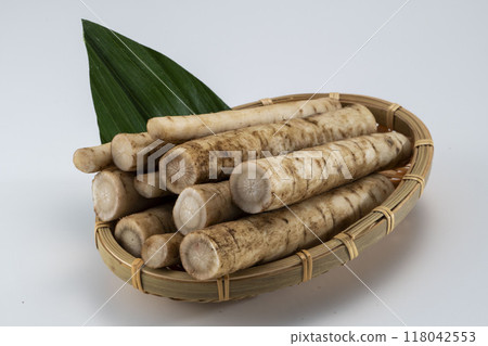 Freshly cut and delicious burdock 118042553