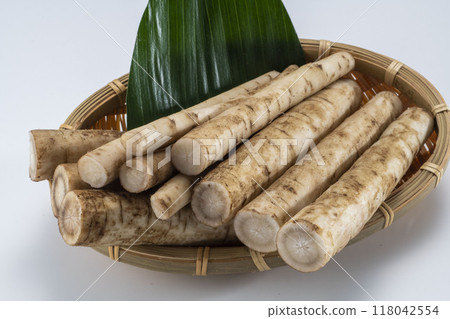 Freshly cut and delicious burdock 118042554