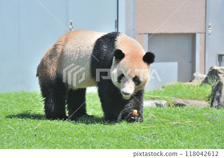 Akehama got a snack 118042612